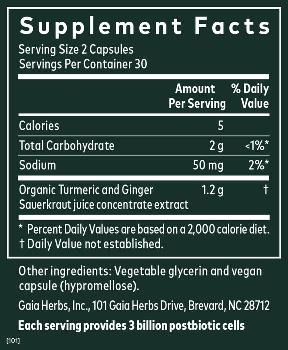 Ginger - Turmeric Postbiotic