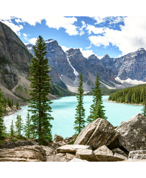 Premier Magnesium Glycinate Caps