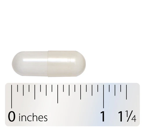 Acetyl L-Carnitine