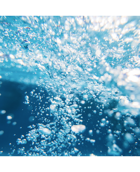 B12-ND™ (Fermented)