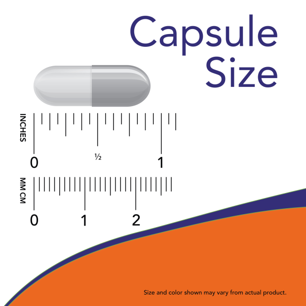 NOW Kava Kava Supplement Capsule Size