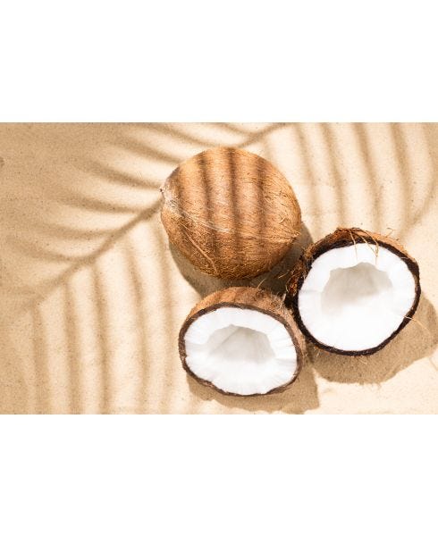 Premier Coconut Oil