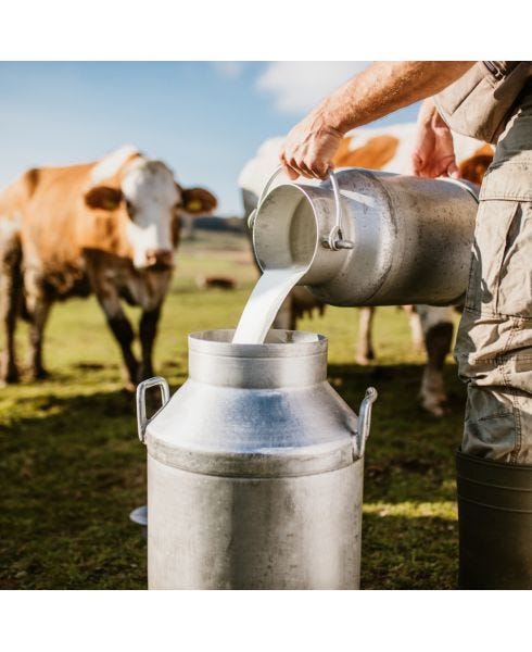 Premier Marine Collagen