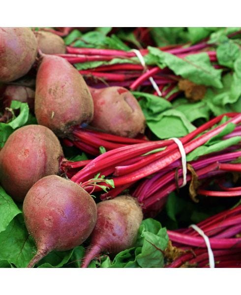 Premier Fermented Beets