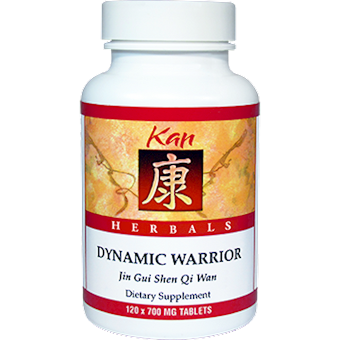 Dynamic Warrior
