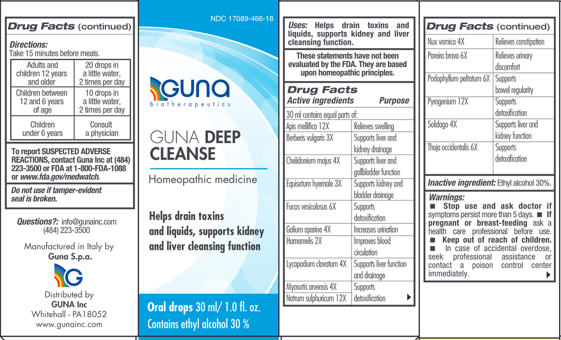 Guna Deep Cleanse Oral Drops 1 fl oz